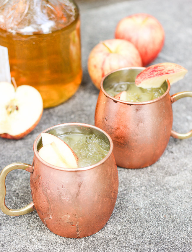 Bourbon is neatly blended with apple cider and orange juice over a mug of ice and raw sugars. Sweet enough to guzzle, stiff enough to sip. A chilled fall drink that’s the perfect blend of sweet and manly, perfect as a swift Fall drink in the warm southern states. www.ahotsouthernmess.com