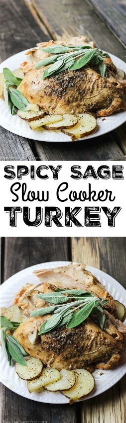 Spicy Sage Slow Cooker Turkey: A combination of sage and garlic combine deliciously with a little heat {only if you want it!} in a slow cooker for the most juicy and moist turkey you will ever eat! 5 minutes of prep work gives you a Thanksgiving Day main meal that is falling-off-the-bone! www.blessherheartyall.com