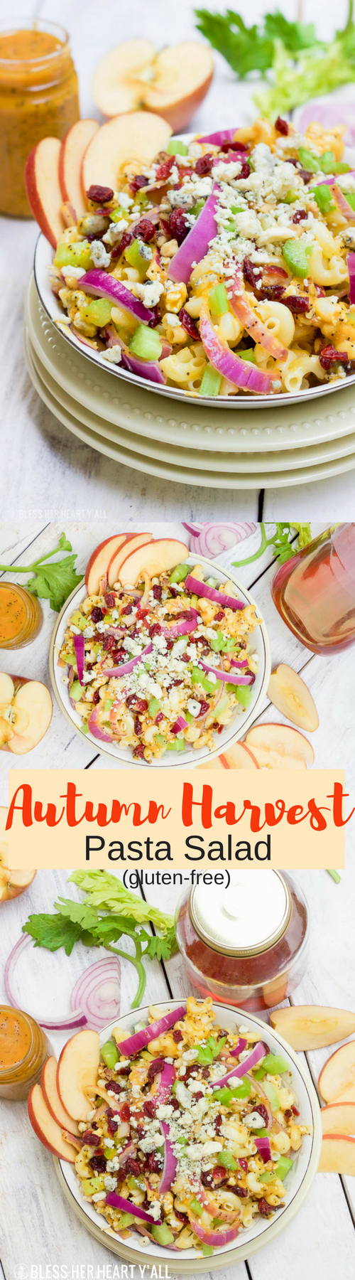 autumn harvest pasta salad with pumpkin poppy seed dressing