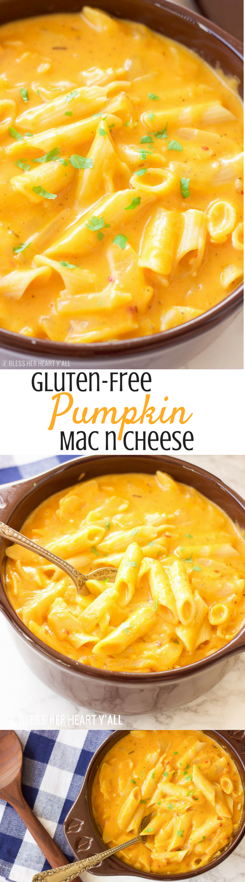This gluten-free pumpkin macaroni and cheese recipe is the ultimate cheesy fall comfort food. Gluten-free noodles are cooked in a pumpkin, sage, and nutmeg sauce and just before serving are smothered in gooey cheddar and parmesan cheeses.