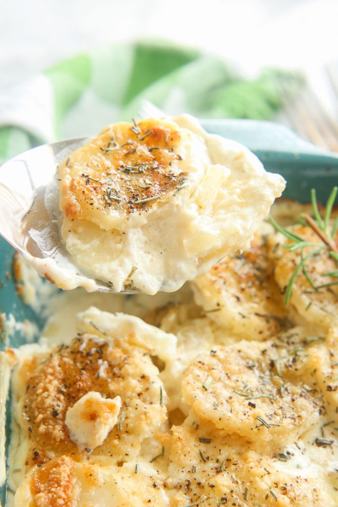 creamy scalloped potatoes in serving spoon